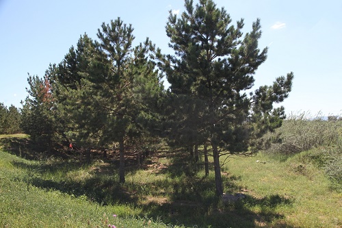 園區環境 園區環境